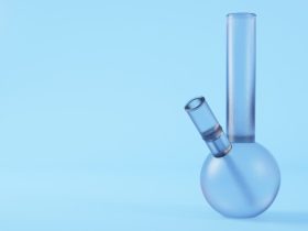 Types of Bongs